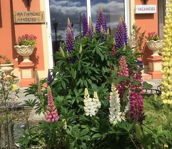 Rathmore House Килларни